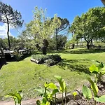Maison Atypique Au Coeur De Notre Pinede بيت للعطل