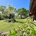 Maison Atypique Au Coeur De Notre Pinede بيت للعطل لا تاسْتْ دو بوك
