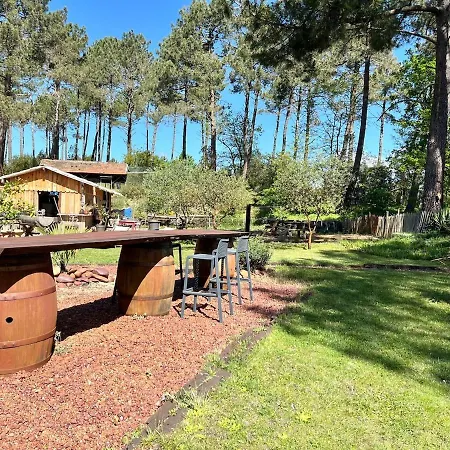 Ferienhaus Maison Atypique Au Coeur De Notre Pinede La Teste-de-Buch
