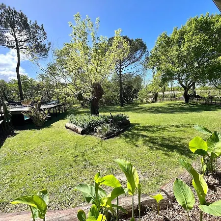 Maison Atypique Au Coeur De Notre Pinede Hébergement de vacances