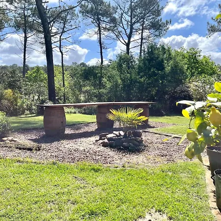 Maison Atypique Au Coeur De Notre Pinede Hébergement de vacances La Teste-de-Buch