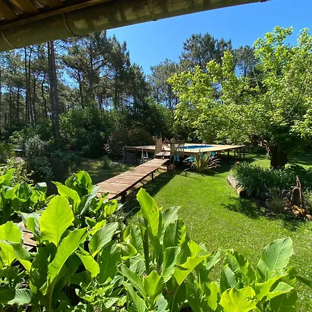 Ferienhaus Maison Atypique Au Coeur De Notre Pinede *
