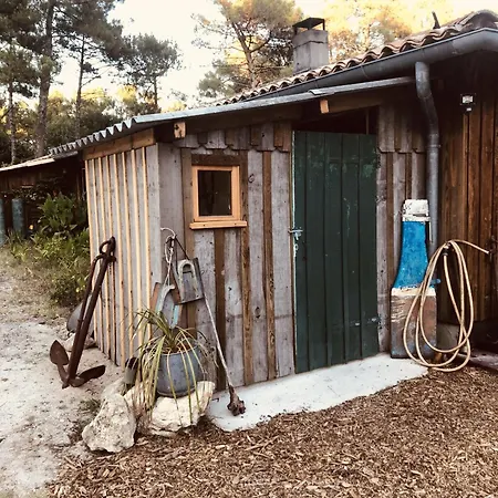 Maison Atypique Au Coeur De Notre Pinede Hébergement de vacances La Teste-de-Buch